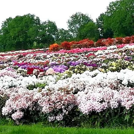 Apartmán Haus Sonneneck 2