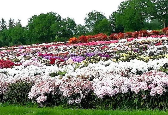 Apartamento Haus Sonneneck 2